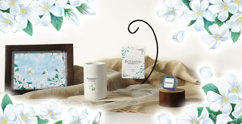 自然のチカラで消臭する「ボタニッシュ」シリーズからジャスミンの香りが登場