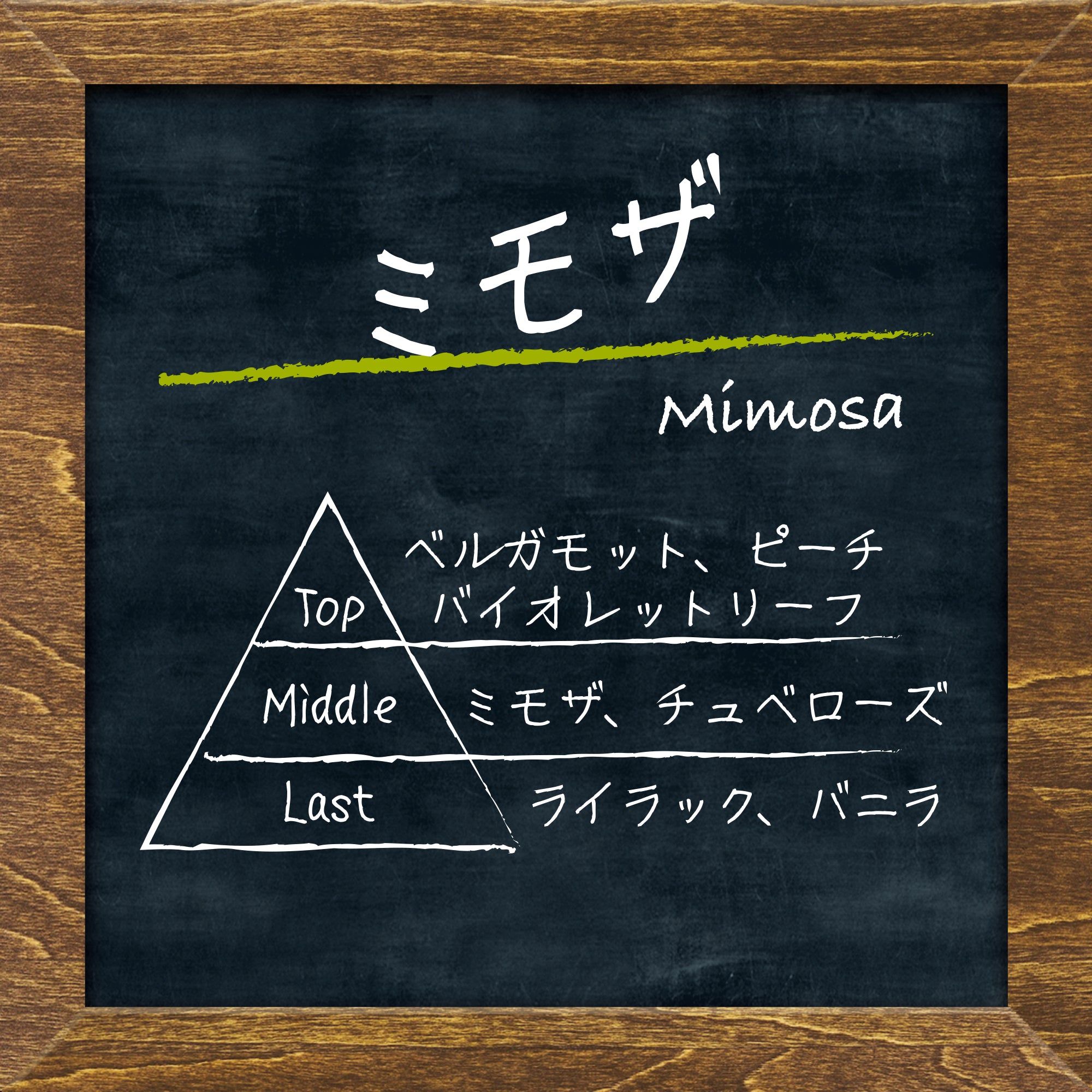 ミモザ　ミモザフレッシュ ミモザ ミモザフレッシュ