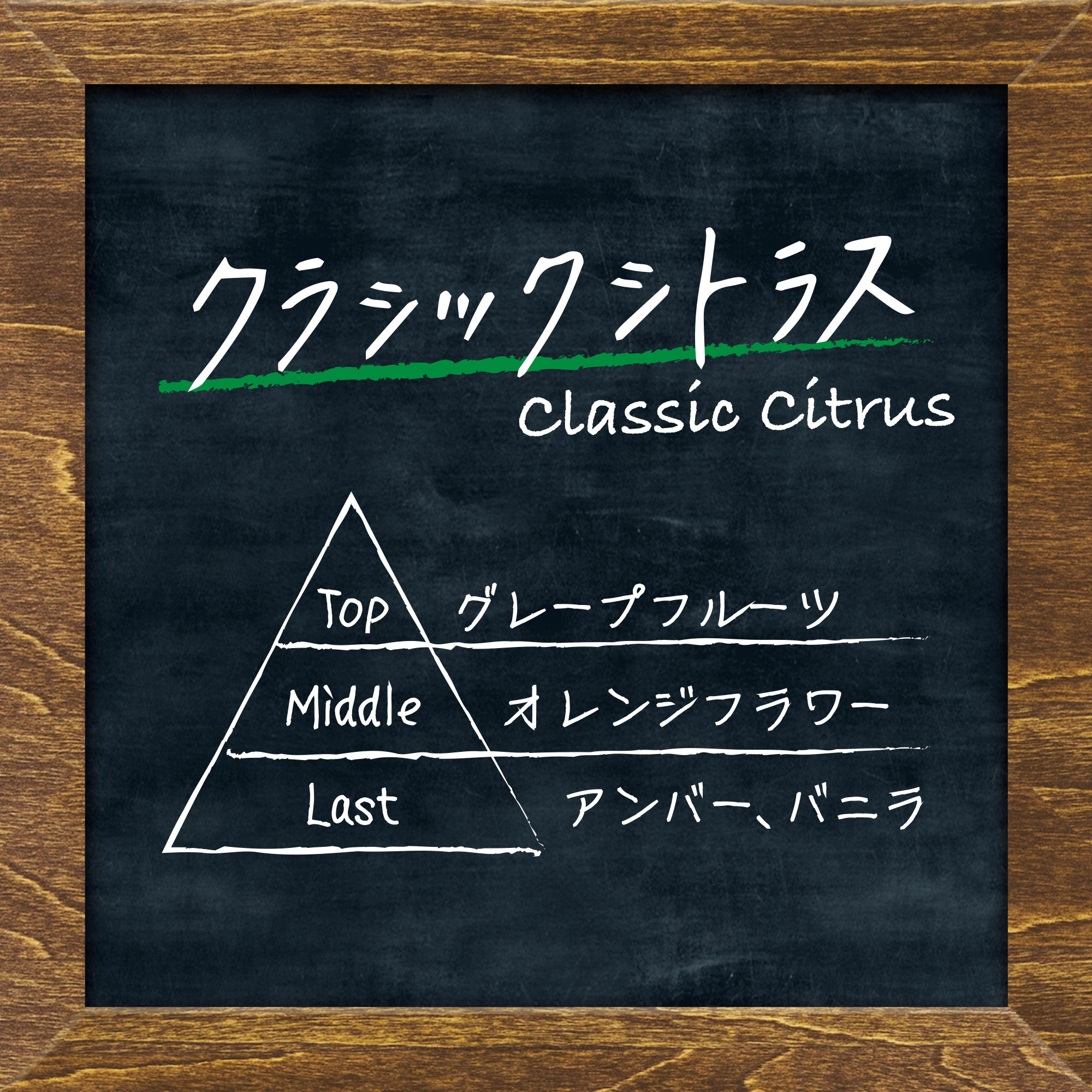 flesh and blood 超越8種セット　日本語cold foil Old Blood Noise Endeavors、Beetronicsのカスタムカラー製品が