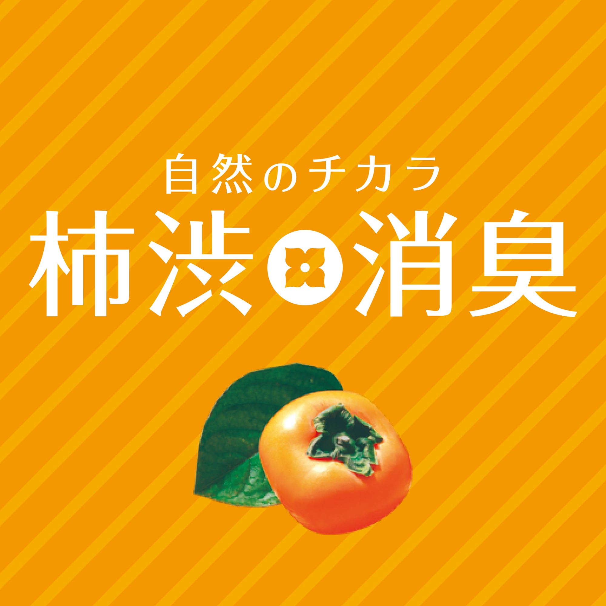 柿渋消臭 シート下 無香料 | カーデオドラント | 晴香堂