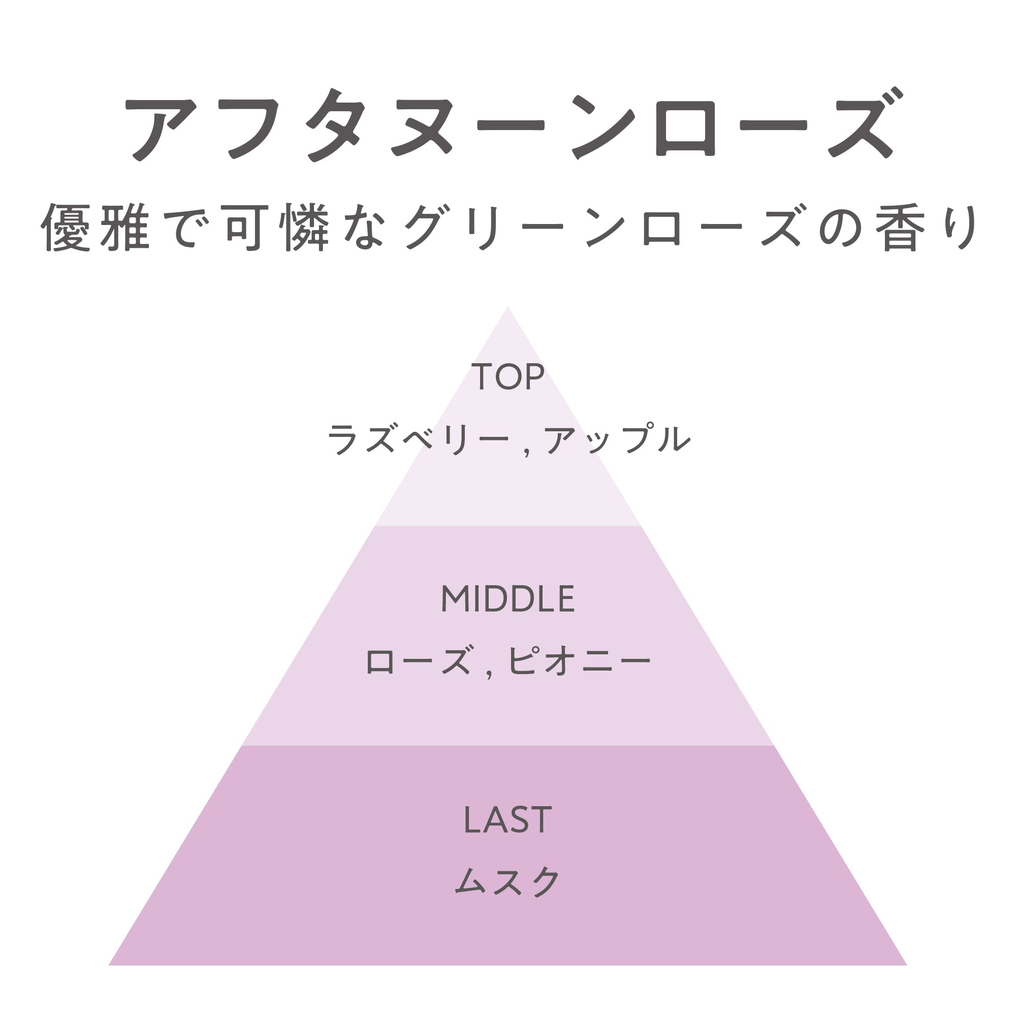 サロンズ アモーレ アフタヌーンローズ | カーフレグランス | 晴香堂
